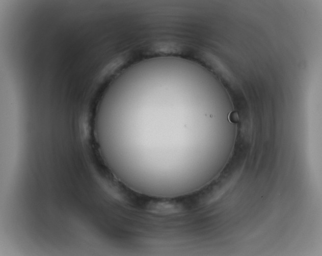 X0000113930635200910021243