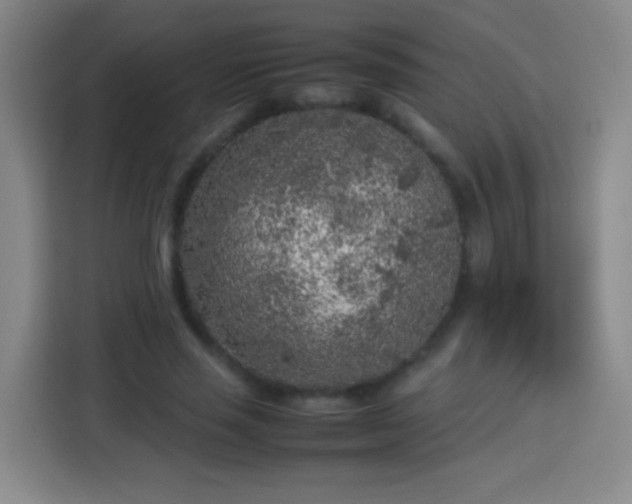 X0000113930637200910021243