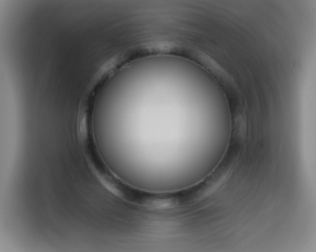X0000113930638200910021243