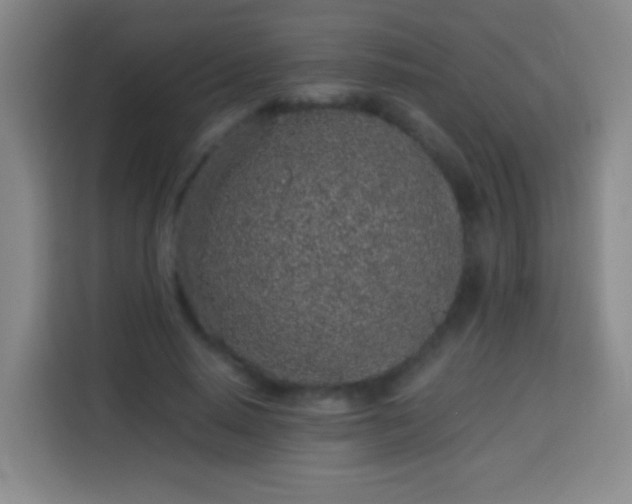 X0000113930640200910021243