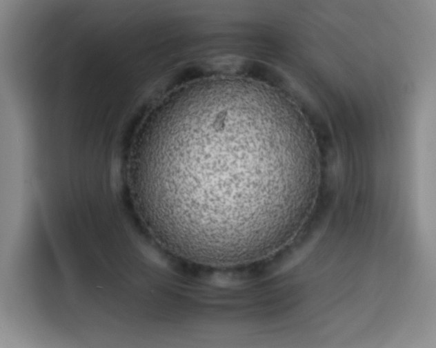 X0000113930641200910021243