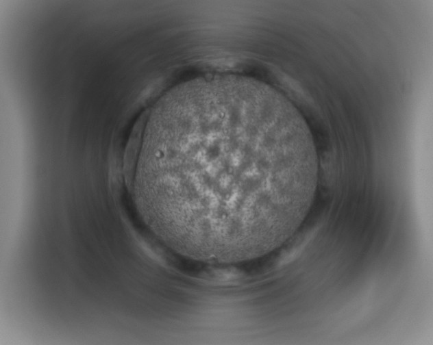 X0000113930642200910021243