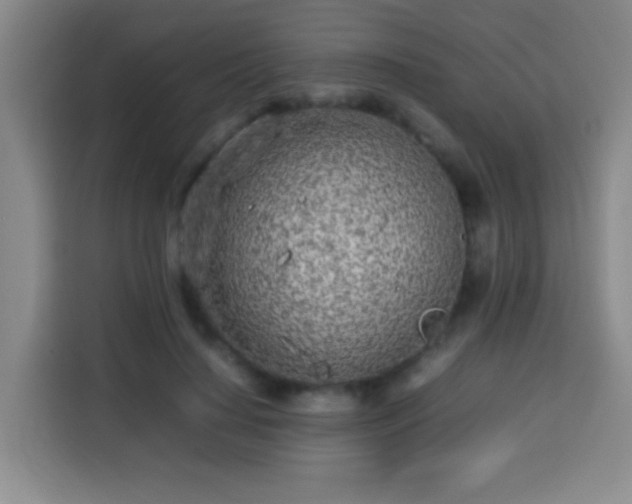 X0000113930644200910021243