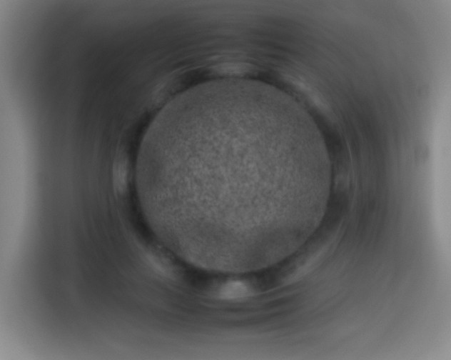 X0000113930647200910021243