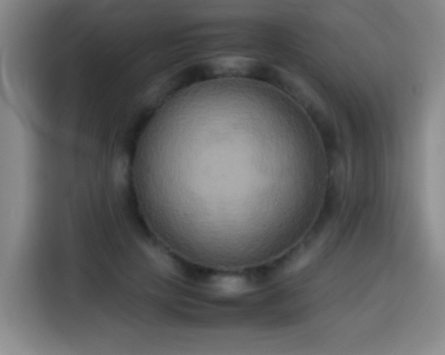 X0000113930649200910021243
