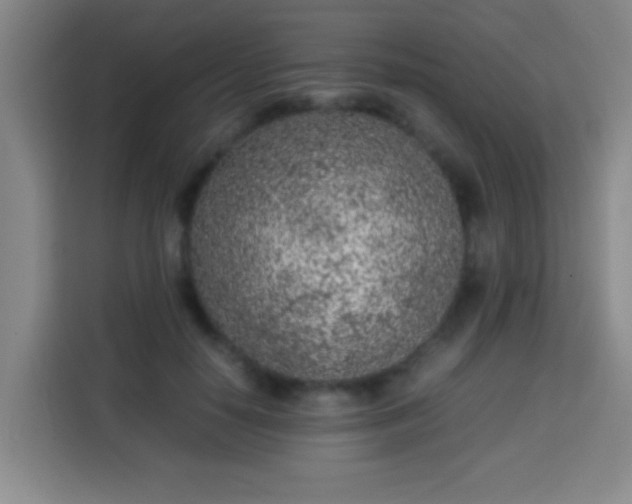 X0000113930650200910021243