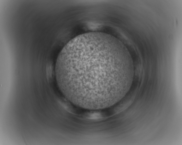 X0000113930651200910021243