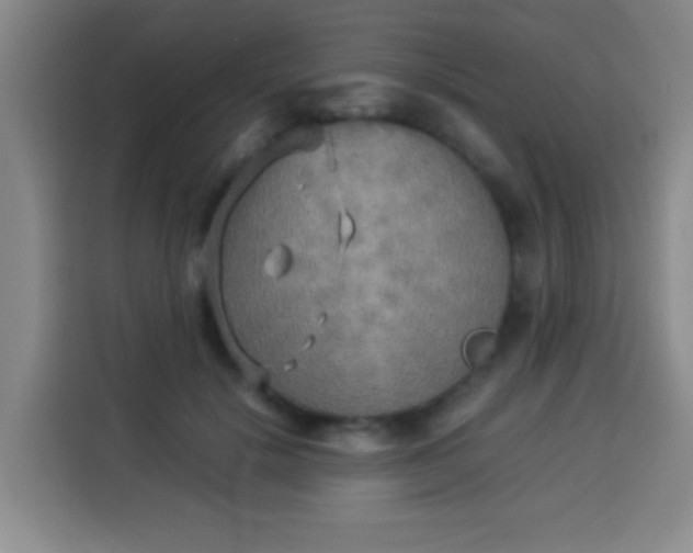 X0000113930652200910021243