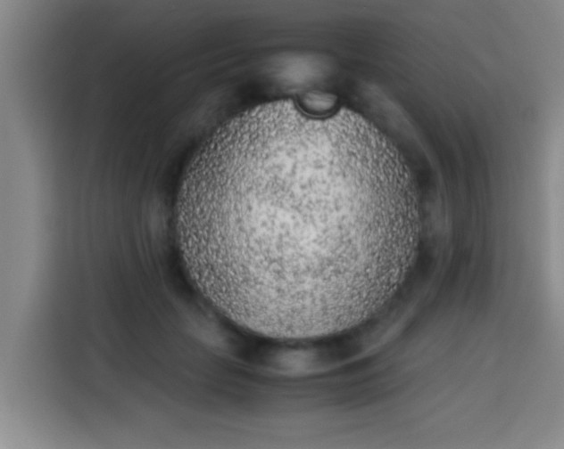 X0000113930653200910021243