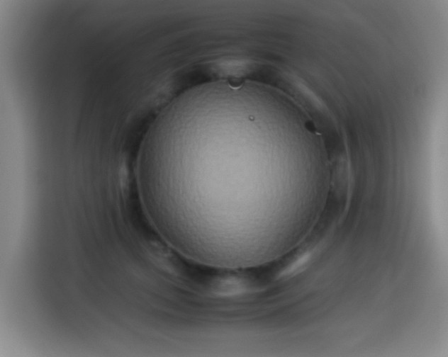 X0000113930655200910021243