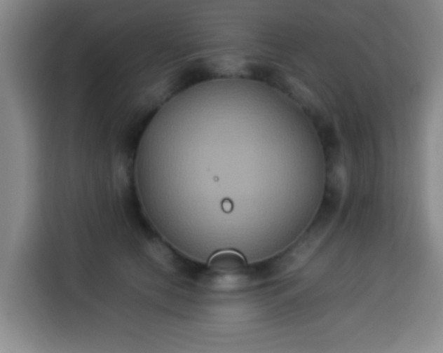 X0000113930658200910021243