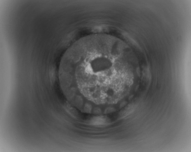X0000113930659200910021243