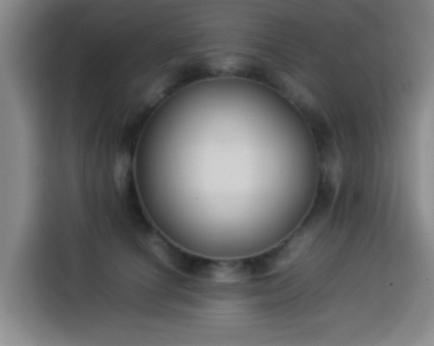 X0000113930660200910021243