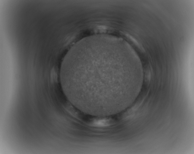 X0000113930661200910021243