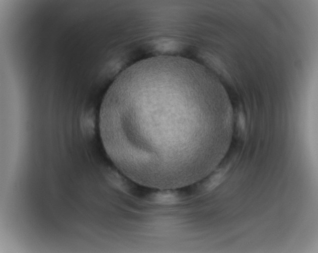 X0000113930668200910021243