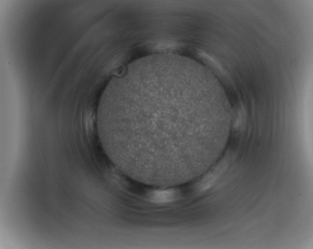 X0000113930669200910021243