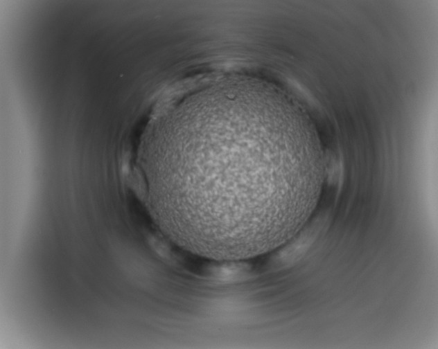 X0000113930670200910021243