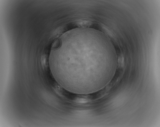 X0000113930671200910021243