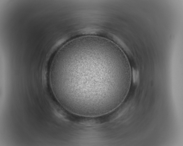 X0000113930675200910021243
