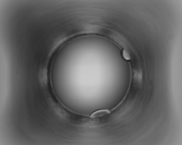 X0000113930676200910021243