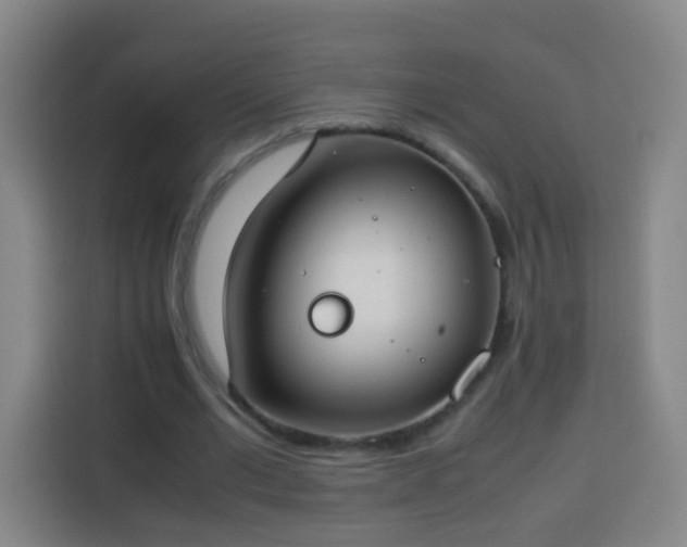 X0000113930677200910021243