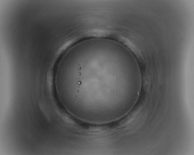 X0000113930679200910021243