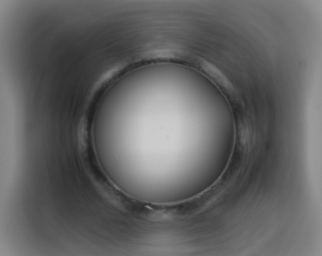 X0000113930680200910021243