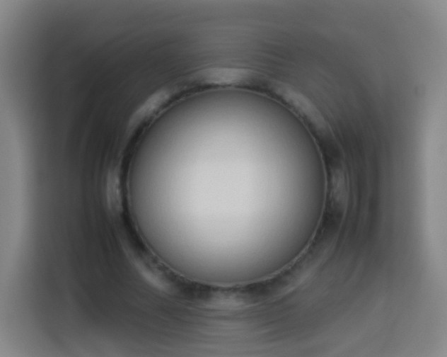 X0000113930682200910021243