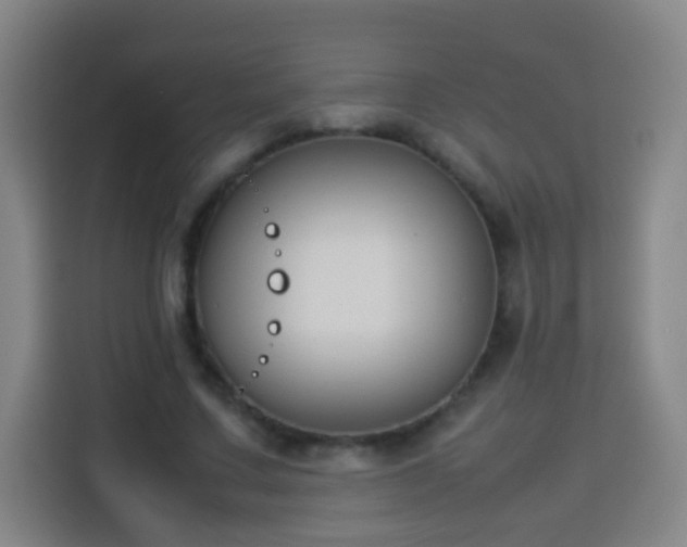 X0000113930683200910021243