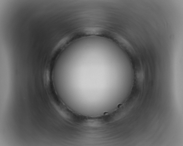 X0000113930686200910021243
