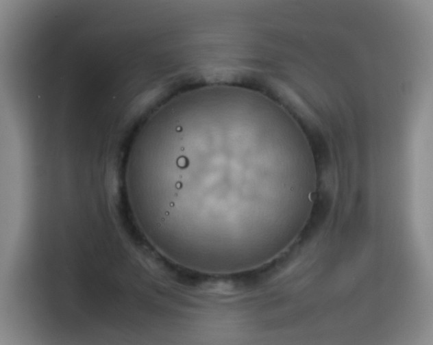 X0000113930687200910021243