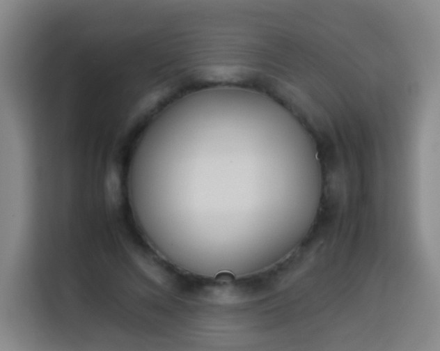 X0000113930688200910021243