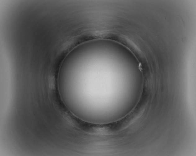 X0000113930689200910021243