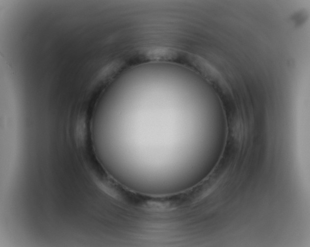 X0000113930690200910021243