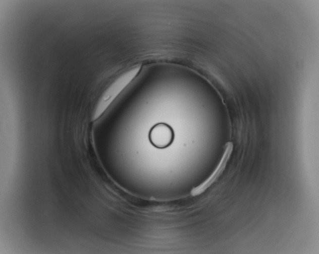X0000113930692200910021242