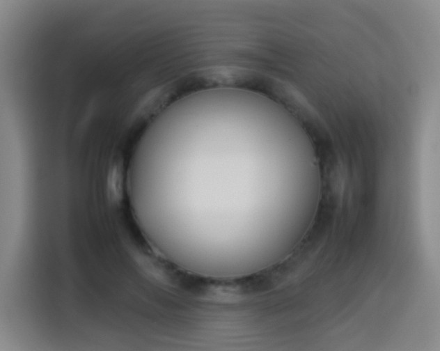 X0000113930694200910021242