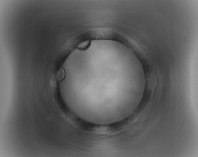 X0000113930695200910021242