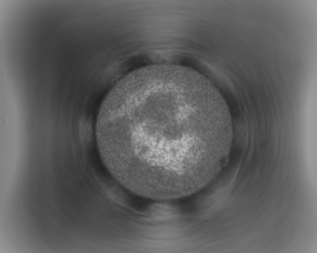 X0000113930699200910021242