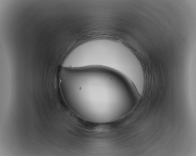 X0000113930700200910021242