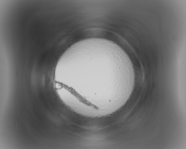 X0000113930701200910021242