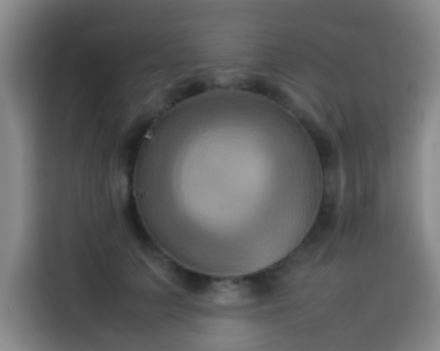 X0000113930703200910021242