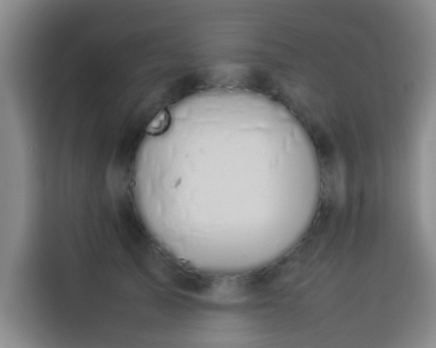 X0000113930705200910021242