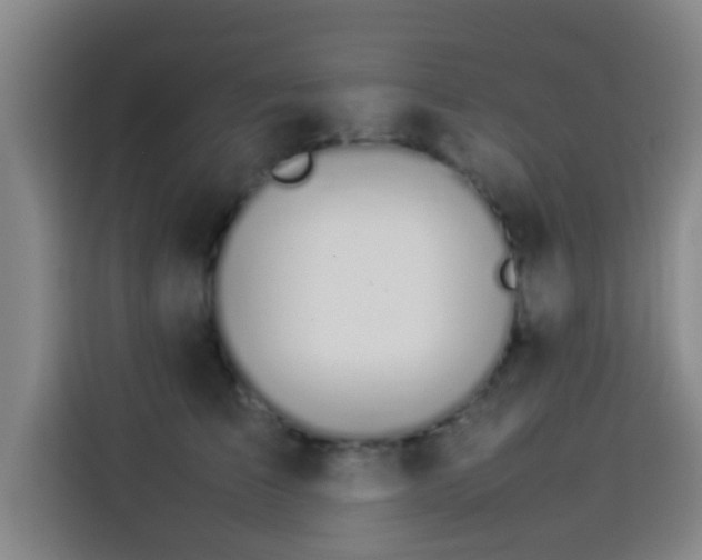 X0000113930709200910021242