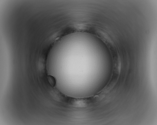 X0000113930710200910021242