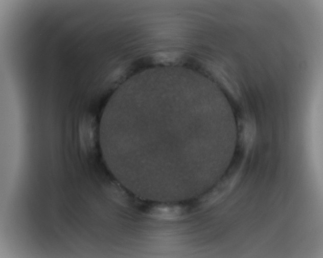 X0000113930712200910021242