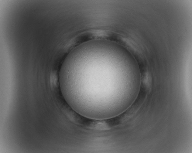 X0000113930715200910021242