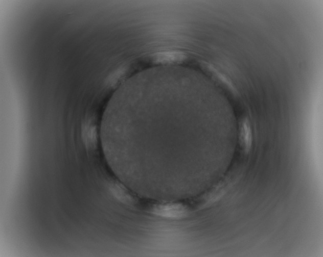 X0000113930716200910021242