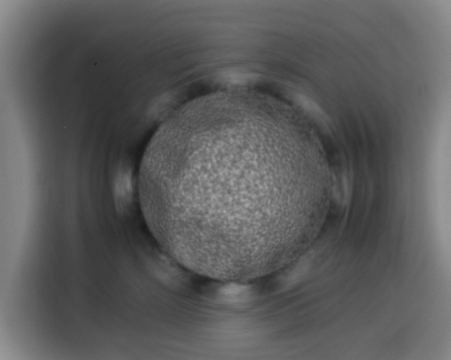 X0000113930718200910021242
