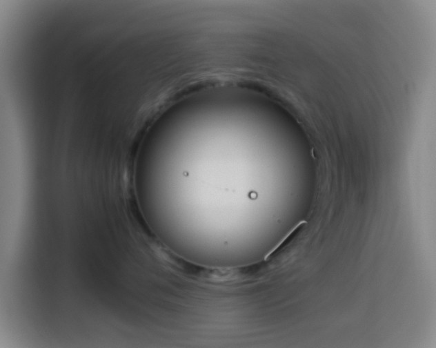 X0000113930720200910021242