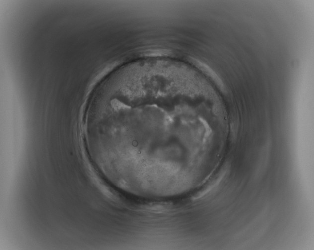 X0000113930721200910021241